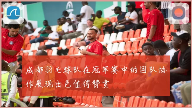 成都羽毛球队在冠军赛中的团队协作展现出色值得赞赏