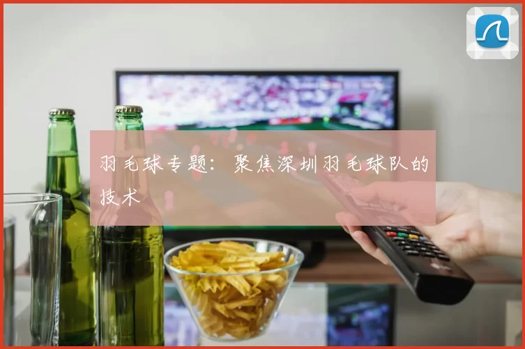 羽毛球专题：聚焦深圳羽毛球队的技术
