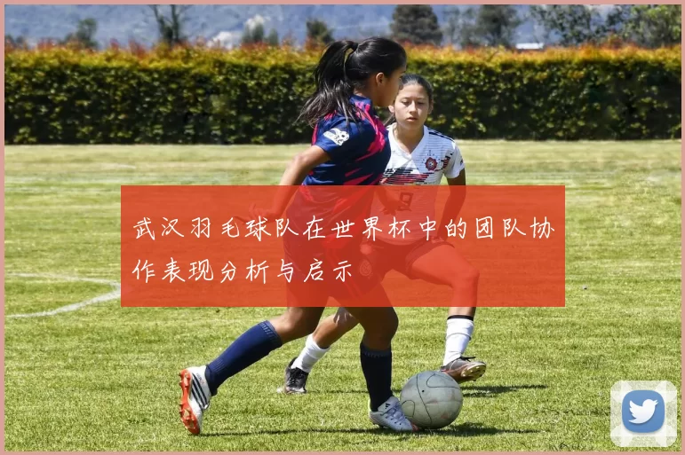 武汉羽毛球队在世界杯中的团队协作表现分析与启示