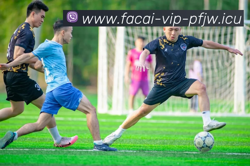 九游体育注册APP 封面图